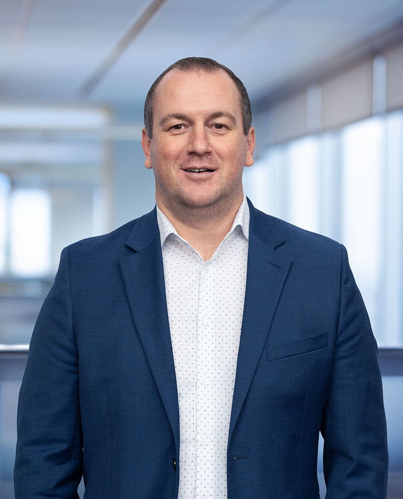 Portrait - Vladimir Blagovcanin